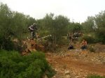 DSCN5590.jpg