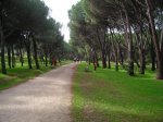 DSCN1182.jpg