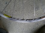 DSCN0829.JPG