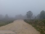 Imagen015.jpg