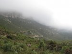 IMG_0081.JPG