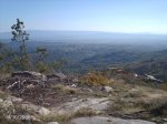 DSC00002.jpg