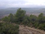 Imagen047.jpg