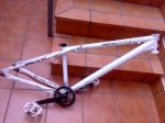 19102008469.jpg
