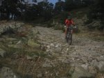 calzada02.JPG