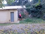 Imagen060.jpg