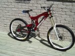 v10 in red with withe boxxer.jpg
