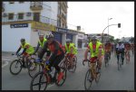 La Organizacion 2.jpg