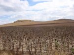 PA192450.jpg
