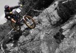 colrat descenso.jpg
