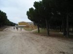DSCN1156.jpg