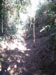 PA200129.jpg