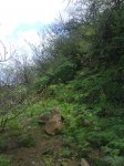 DSC00260.jpg