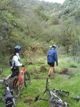 DSC00261.jpg