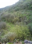 DSC00263.jpg