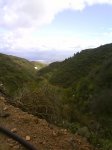 DSC00264.jpg