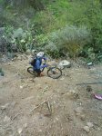 DSC00265.jpg