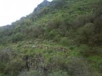 DSC00266.jpg
