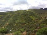 DSC00267.jpg