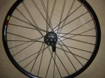 DSC01759.jpg