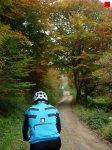 foromtb_image_18oct_02_num.jpg