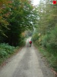 foromtb_image_18oct_04_num.jpg