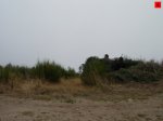 foromtb_image_18oct_06_num.jpg