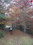 foromtb_image_18oct_08_num.jpg