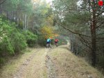 foromtb_image_18oct_09_num.jpg