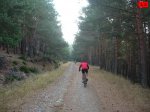foromtb_image_18oct_10_num.jpg