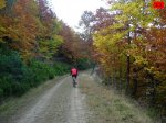 foromtb_image_18oct_11_num.jpg