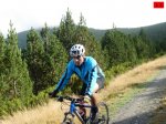foromtb_image_18oct_13_num.jpg