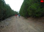 foromtb_image_18oct_18_num.jpg