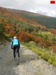 foromtb_image_18oct_24_num.jpg
