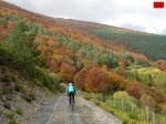 foromtb_image_18oct_25_num.jpg
