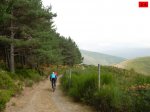 foromtb_image_18oct_26_num.jpg