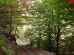 foromtb_image_18oct_29_num.jpg