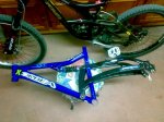 20102008054.jpg