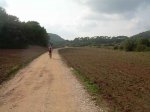 DSCN3773.jpg