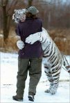 Tigerhug.jpg