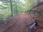 20102008436.jpg