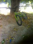 05-10-08_1320.jpg