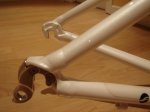 foto5.jpg