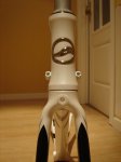 foto7.jpg