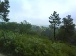 DSC00151.jpg