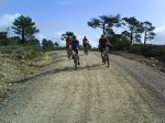 DSC00158.jpg