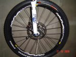DSC04295.jpg