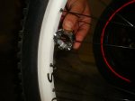 DSC09169.JPG