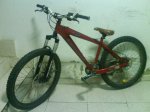 mibike2.JPG