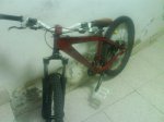 DSC00259.jpg